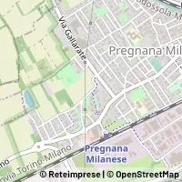 Map Pregnana Milanese