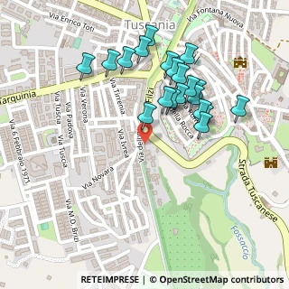 Mappa Via dell'Olivo, 01017 Tuscania VT, Italia (0.2425)