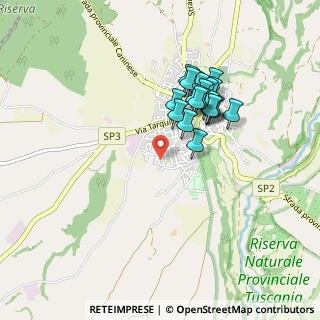 Mappa Via Fausto Coppi, 01017 Tuscania VT, Italia (0.806)