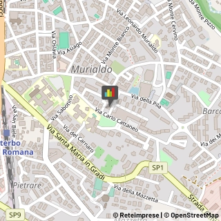Malattie Apparato Respiratorio - Medici Specialisti,01100Viterbo