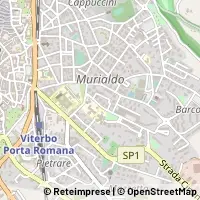 Carte Viterbo