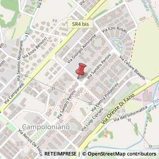 Mappa Via Palmegiani, 4, 02100 Rieti, Rieti (Lazio)