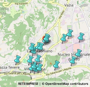 Mappa Via Palmegiani, 02100 Rieti RI, Italia (1.0245)