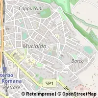 Carte Viterbo