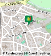 Via Vicenza, 13,01100Viterbo