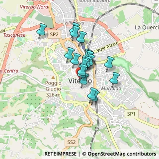 Mappa Piazza del Plebiscito, 01100 Viterbo VT, Italia (0.5855)