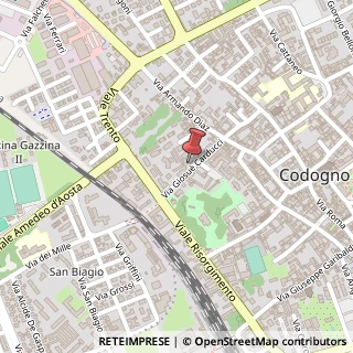 Mappa Via Giosuè Carducci, 41, 26845 Codogno, Lodi (Lombardia)