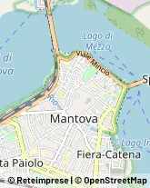 Notai Mantova,46100Mantova