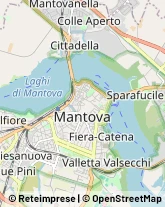 Notai Mantova,46100Mantova