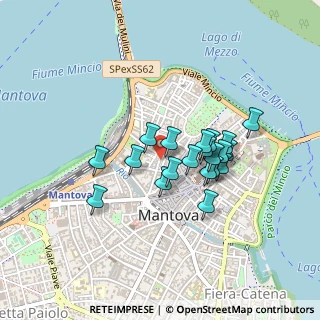 Mappa Via Giovanni Arrivabene, 46100 Mantova MN, Italia (0.336)