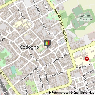 Spurgo Fognature Codogno,26845Lodi