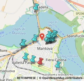 Mappa Via Dell'Arco, 46100 Mantova MN, Italia (0.7565)