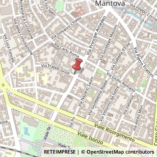Mappa Via Giovanni Acerbi, 33, 46100 Mantova, Mantova (Lombardia)