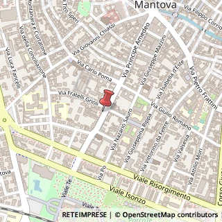 Mappa Via Giovanni Acerbi, 35, 46100 Mantova, Mantova (Lombardia)