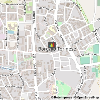 Fisiokinesiterapia - Medici Specialisti Borgaro Torinese,10071Torino