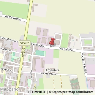Mappa Via Reisina, 13, 10072 Caselle Torinese, Torino (Piemonte)