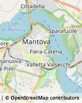 Autofficine e Centri Assistenza Mantova,46100Mantova