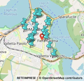 Mappa Via Gandolfo Lorenzo, 46100 Mantova MN, Italia (0.7025)