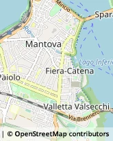 Autofficine e Centri Assistenza Mantova,46100Mantova