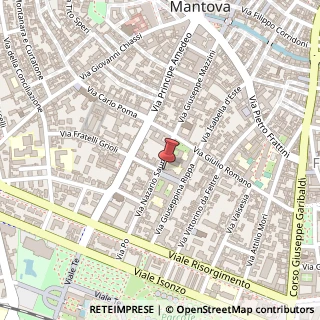 Mappa Via Torquato Tasso, 2, 46100 Mantova, Mantova (Lombardia)