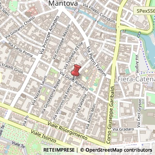 Mappa Via Anselmo Guerrieri Gonzaga,  12, 46100 Mantova, Mantova (Lombardia)