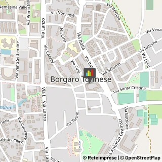 Borse - Dettaglio Borgaro Torinese,10071Torino