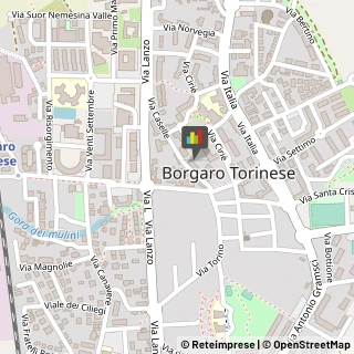 Estetiste Borgaro Torinese,10071Torino