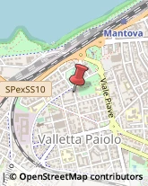 Viale Carso, 24,46100Mantova