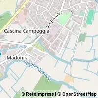 Peta Pavia