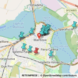 Mappa Via Della Liberta' 19 Soave Mantovano, 46047 Mantova MN, Italia (0.66684)