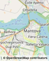 Medie - Scuole Private Mantova,46100Mantova