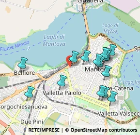 Mappa Largo di Porta Pradella, 46100 Mantova MN, Italia (1.01563)