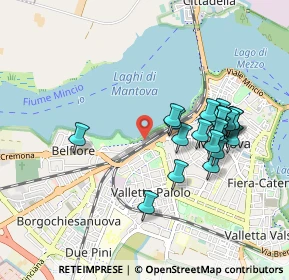 Mappa Via Monsignor Luigi Martini, 46100 Mantova MN, Italia (0.88)