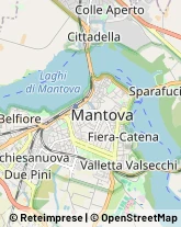 Consulenza Commerciale Mantova,46100Mantova