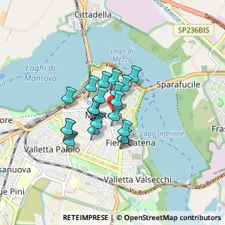 Mappa Via Giuseppe Franchetti, 46100 Mantova MN, Italia (0.5715)