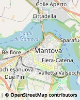 Carte di Credito - Servizi Mantova,46100Mantova