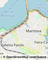 Carte di Credito - Servizi Mantova,46100Mantova