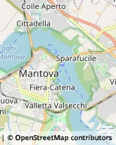 Idraulici e Lattonieri Mantova,46100Mantova