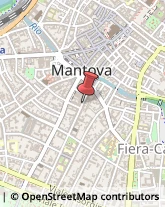 Via Giuseppe Mazzini, 16,46100Mantova