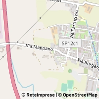 地图 Borgaro Torinese