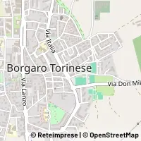 Map Borgaro Torinese