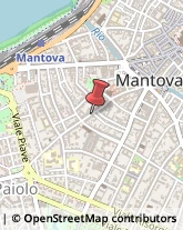 Via Giovanni Chiassi, 54,46100Mantova