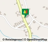 Autofficine e Centri Assistenza,35040Padova