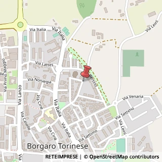 Mappa Via San Lorenzo,  1, 10071 Borgaro Torinese, Torino (Piemonte)
