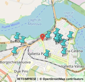 Mappa Via Saverio Bettinelli, 46100 Mantova MN, Italia (0.88833)