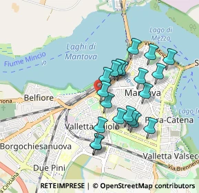 Mappa Via Saverio Bettinelli, 46100 Mantova MN, Italia (0.787)