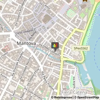 Latte e Derivati,46100Mantova