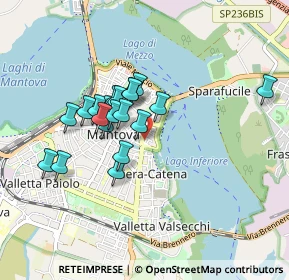 Mappa Via Pomponazzo, 46100 Mantova MN, Italia (0.705)