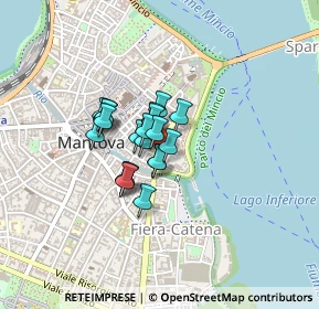 Mappa Via Pomponazzo, 46100 Mantova MN, Italia (0.2425)