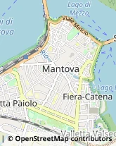 Commercialisti Mantova,46100Mantova